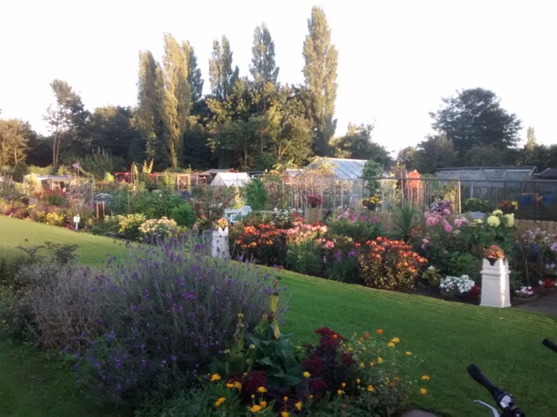 Moss Park Allotments